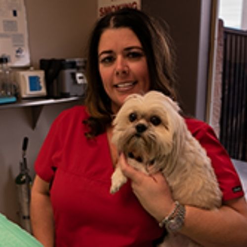 Henderson, NV 89074 Veterinarians | Legacy Animal Hospital
