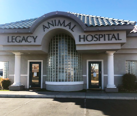 Legacy Animal Hospital