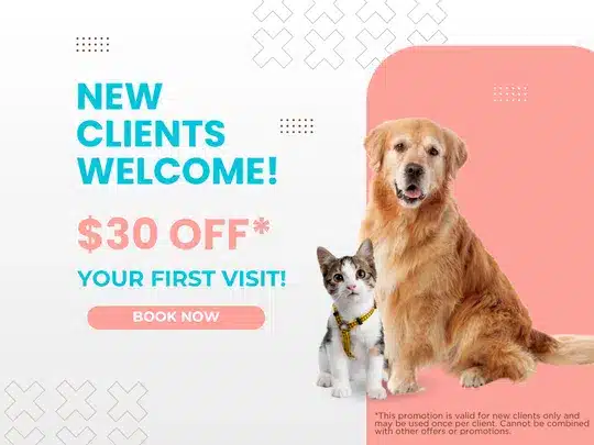 New clients welcome 40-off